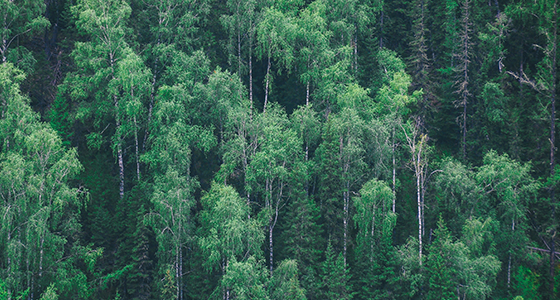 monster-page-images-kentfield1-59f89af2d9b2d